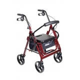 preciso alugar andador para idoso com rodas e cadeira Ibirapuera
